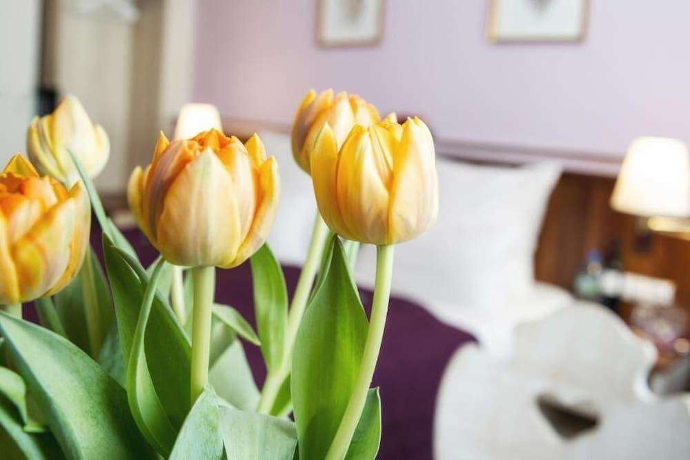 Hotel Elch Boutique Nürnberg Eksteriør billede